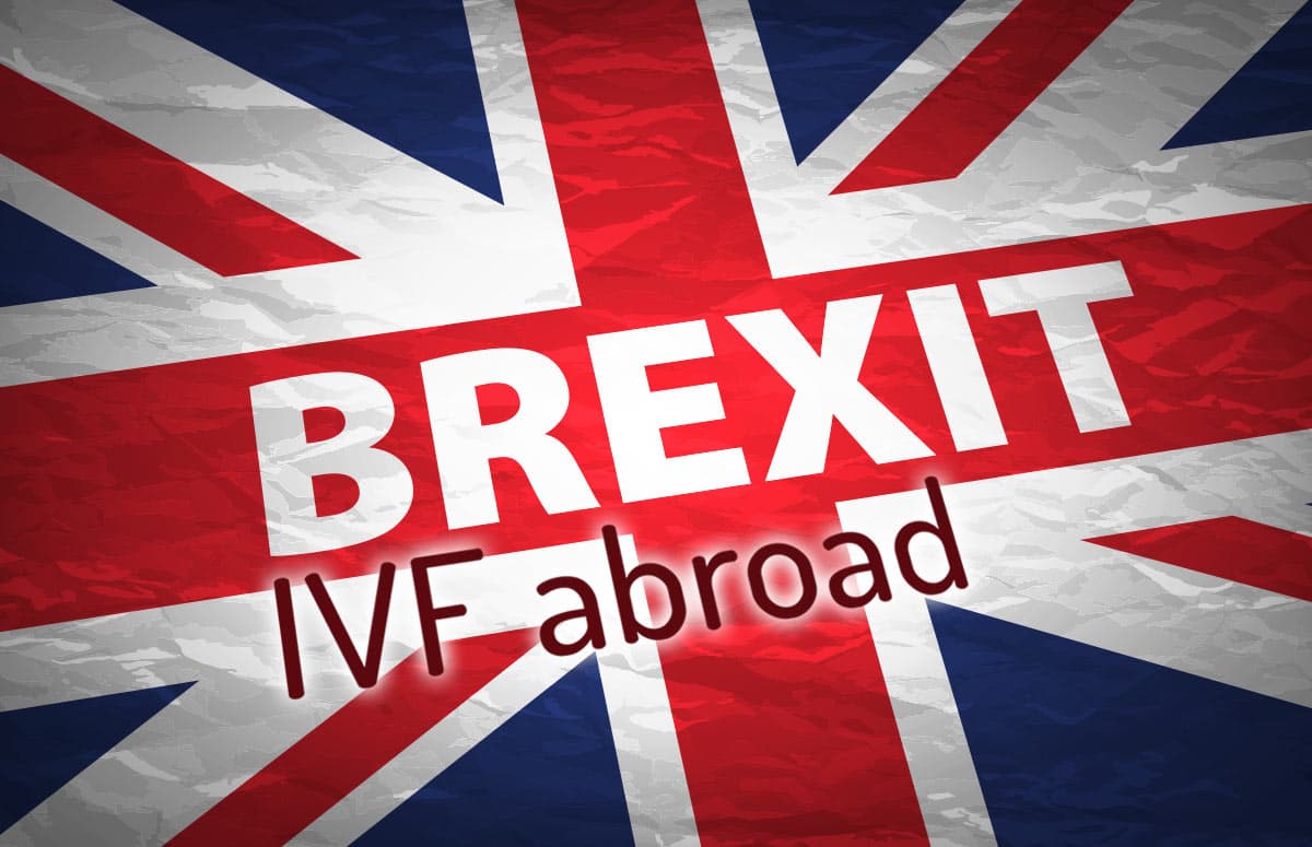 Brexit – welke gevolgen zal dit hebben voor Britse patiënten die toegang krijgen tot eiceldonatieprogramma’s in het buitenland?